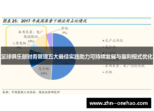 足球俱乐部财务管理五大最佳实践助力可持续发展与盈利模式优化