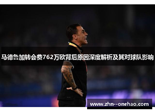 马德鲁加转会费762万欧背后原因深度解析及其对球队影响 马德鲁加转会费762万欧背后原因深度解析及其对球队影响