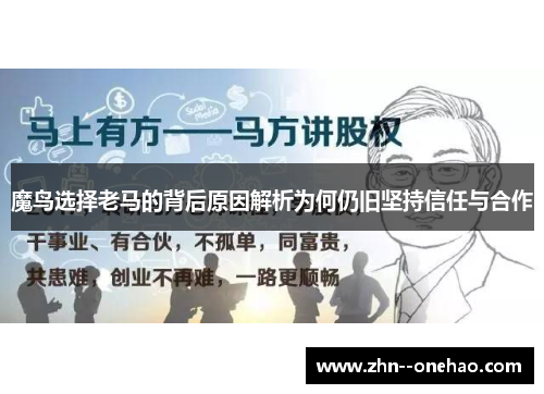 魔鸟选择老马的背后原因解析为何仍旧坚持信任与合作